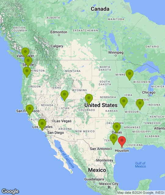 Houston Dynamo_league.png